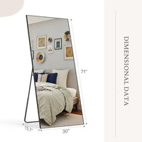 ENFORCE Rectangle Metal Full Length Mirror Enforce Records